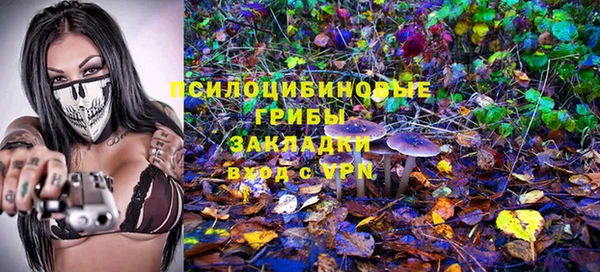 крисы Балабаново