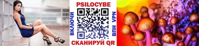 omg ссылка  купить   Вилючинск  Галлюциногенные грибы MAGIC MUSHROOMS 